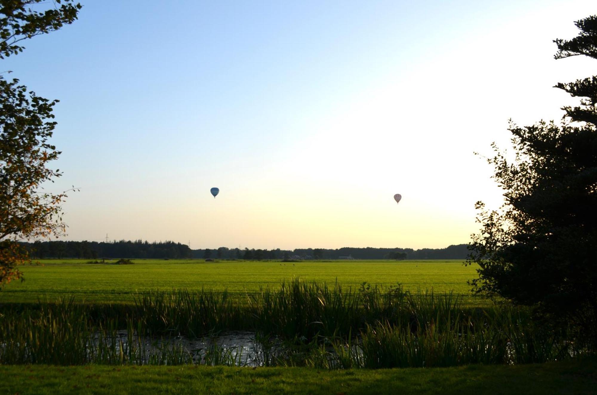 Prive In Een Bosrijke Omgeving Welkom Bij Gastenverblijf Het Ontsnapte Schaap In Jubbega Buitenkant foto