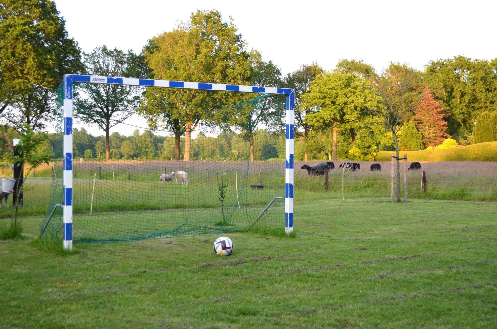 Prive In Een Bosrijke Omgeving Welkom Bij Gastenverblijf Het Ontsnapte Schaap In Jubbega Buitenkant foto