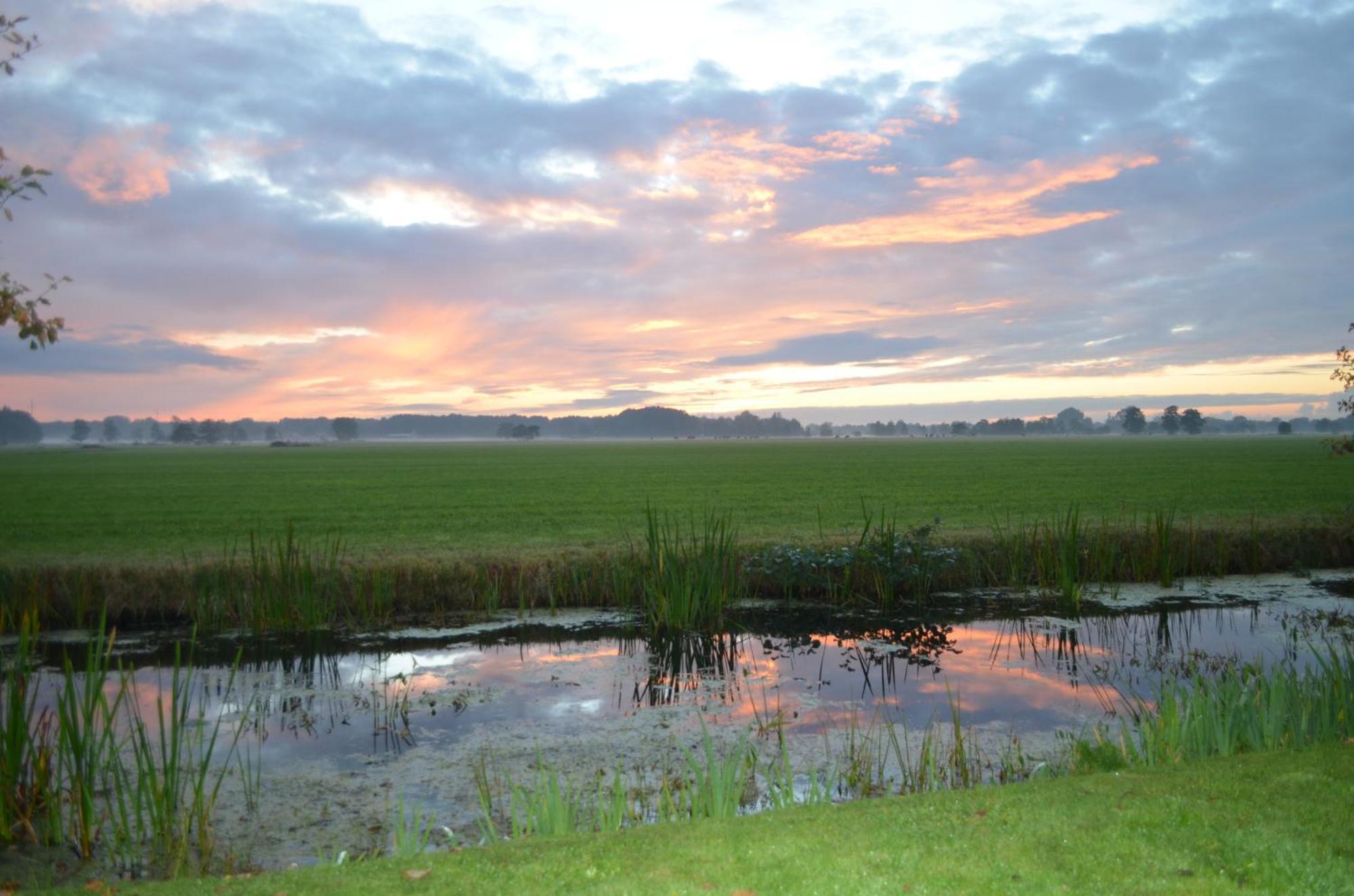 Prive In Een Bosrijke Omgeving Welkom Bij Gastenverblijf Het Ontsnapte Schaap In Jubbega Buitenkant foto